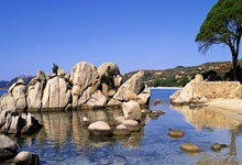 世预赛排行榜是如何影响球队晋级之路的？